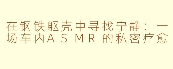 在钢铁躯壳中寻找宁静：一场车内ASMR的私密疗愈