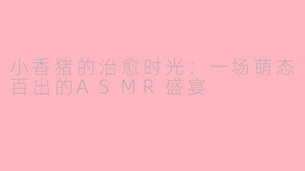 小香猪的治愈时光：一场萌态百出的ASMR盛宴