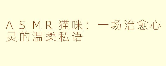 ASMR猫咪:一场治愈心灵的温柔私语