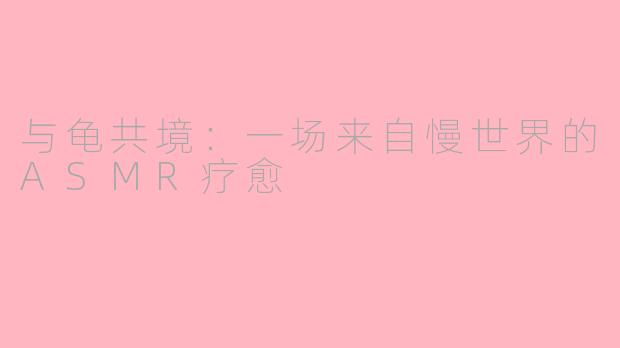 与龟共境:一场来自慢世界的ASMR疗愈