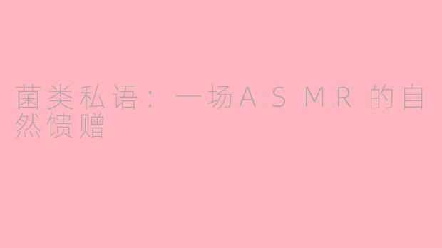 菌类私语：一场ASMR的自然馈赠