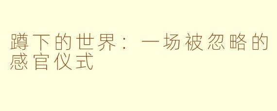 蹲下的世界：一场被忽略的感官仪式