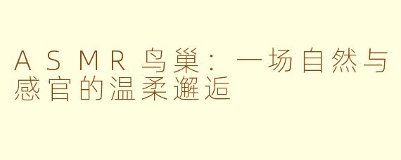ASMR鸟巢：一场自然与感官的温柔邂逅
