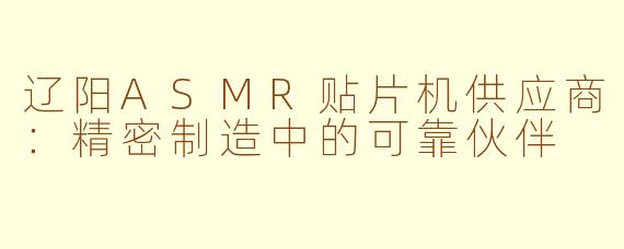 辽阳ASMR贴片机供应商：精密制造中的可靠伙伴