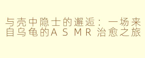 与壳中隐士的邂逅：一场来自乌龟的ASMR治愈之旅