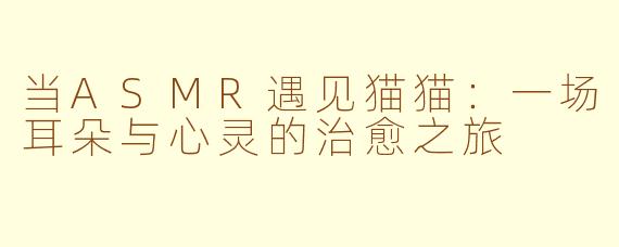 当ASMR遇见猫猫：一场耳朵与心灵的治愈之旅