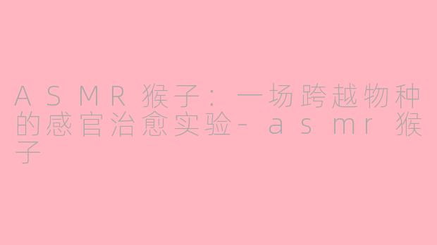 ASMR猴子:一场跨越物种的感官治愈实验-asmr猴子