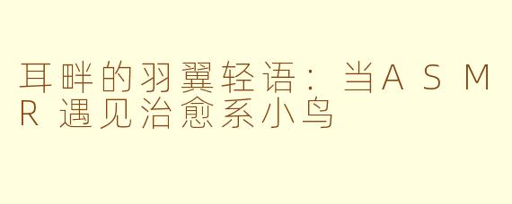 耳畔的羽翼轻语：当ASMR遇见治愈系小鸟