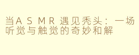 当ASMR遇见秃头：一场听觉与触觉的奇妙和解