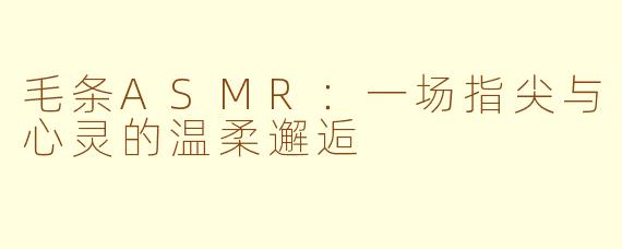 毛条ASMR：一场指尖与心灵的温柔邂逅
