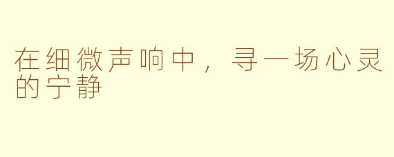 在细微声响中，寻一场心灵的宁静
