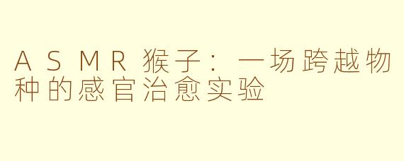 ASMR猴子:一场跨越物种的感官治愈实验
