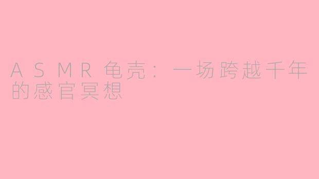 ASMR龟壳：一场跨越千年的感官冥想