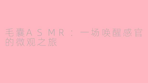 毛囊ASMR:一场唤醒感官的微观之旅