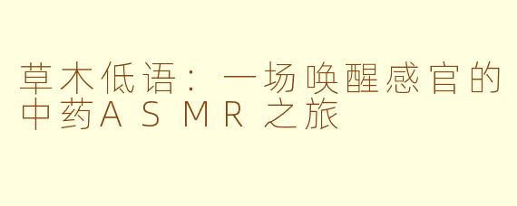 草木低语:一场唤醒感官的中药ASMR之旅
