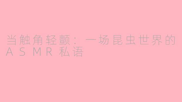 当触角轻颤：一场昆虫世界的ASMR私语