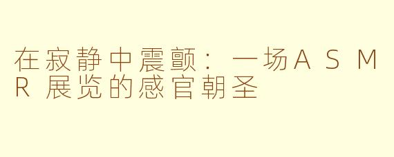 在寂静中震颤：一场ASMR展览的感官朝圣