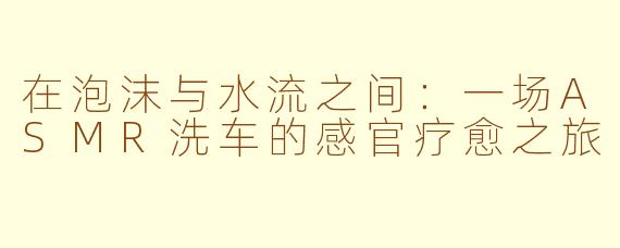 在泡沫与水流之间：一场ASMR洗车的感官疗愈之旅
