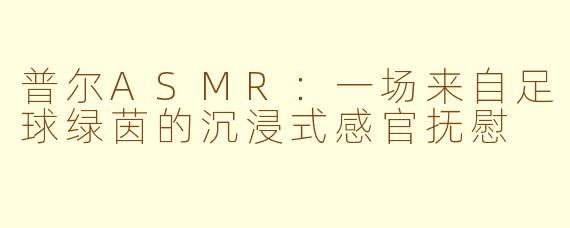 普尔ASMR：一场来自足球绿茵的沉浸式感官抚慰