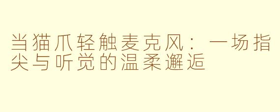 当猫爪轻触麦克风：一场指尖与听觉的温柔邂逅