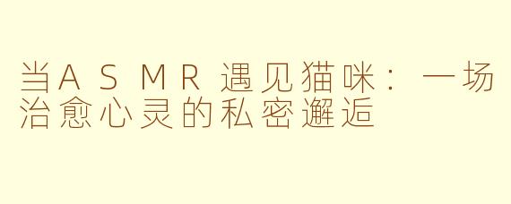 当ASMR遇见猫咪:一场治愈心灵的私密邂逅