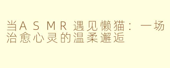当ASMR遇见懒猫:一场治愈心灵的温柔邂逅