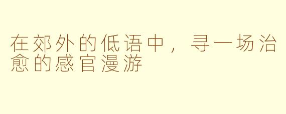 在郊外的低语中，寻一场治愈的感官漫游