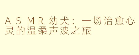ASMR幼犬:一场治愈心灵的温柔声波之旅