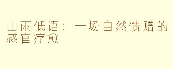 山雨低语:一场自然馈赠的感官疗愈