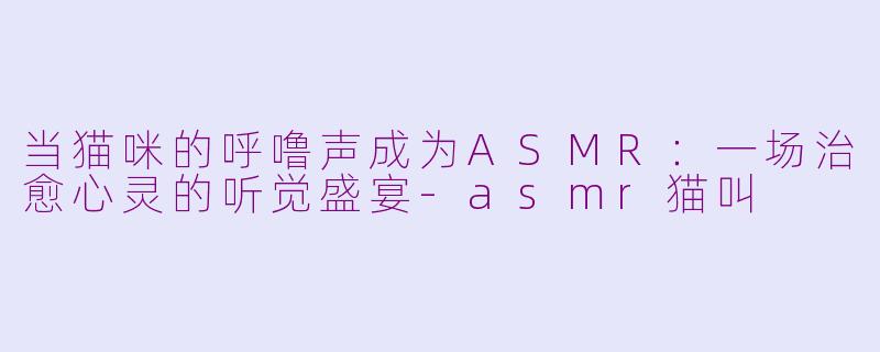 当猫咪的呼噜声成为ASMR：一场治愈心灵的听觉盛宴
