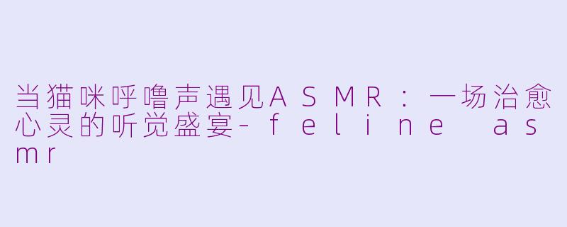 当猫咪呼噜声遇见ASMR：一场治愈心灵的听觉盛宴-feline asmr