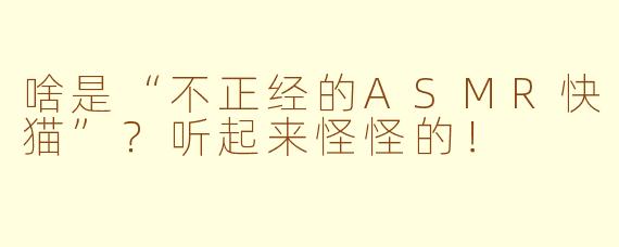 啥是“不正经的ASMR快猫”？听起来怪怪的！