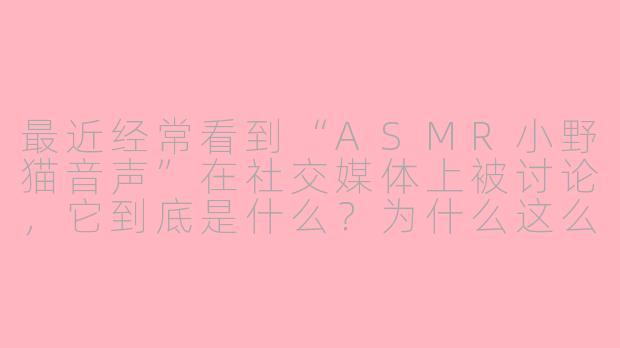 最近经常看到“ASMR小野猫音声”在社交媒体上被讨论，它到底是什么？为什么这么受欢迎？-asmr小野猫音声 知乎