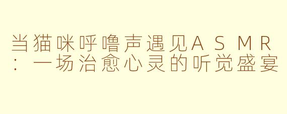 当猫咪呼噜声遇见ASMR：一场治愈心灵的听觉盛宴