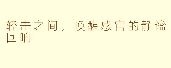 轻击之间，唤醒感官的静谧回响