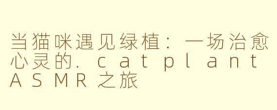 当猫咪遇见绿植:一场治愈心灵的.catplantASMR之旅