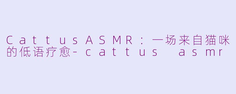 CattusASMR：一场来自猫咪的低语疗愈-cattus asmr
