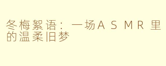 冬梅絮语：一场ASMR里的温柔旧梦