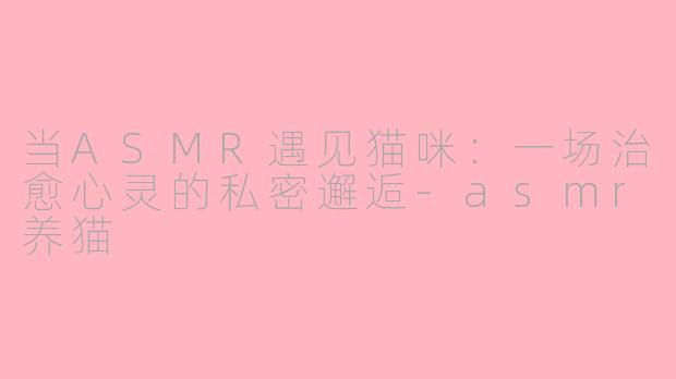 当ASMR遇见猫咪:一场治愈心灵的私密邂逅-asmr养猫