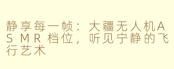 静享每一帧:大疆无人机ASMR档位,听见宁静的飞行艺术