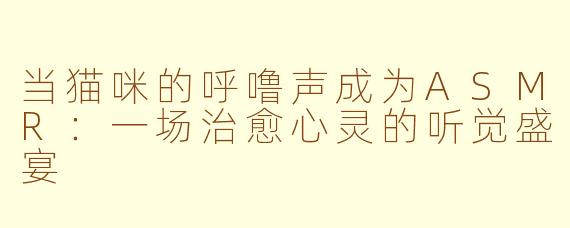 当猫咪的呼噜声成为ASMR：一场治愈心灵的听觉盛宴