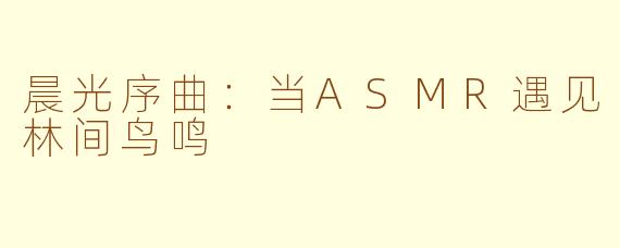 晨光序曲：当ASMR遇见林间鸟鸣