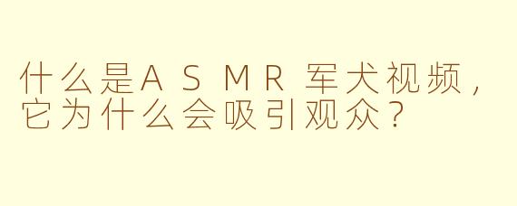 什么是ASMR军犬视频,它为什么会吸引观众?