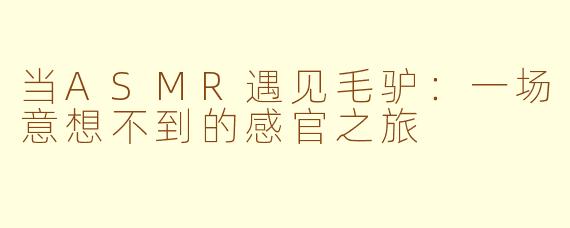 当ASMR遇见毛驴：一场意想不到的感官之旅