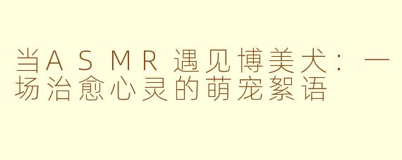 当ASMR遇见博美犬:一场治愈心灵的萌宠絮语