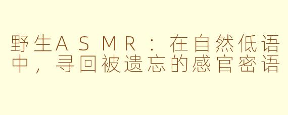 野生ASMR：在自然低语中，寻回被遗忘的感官密语