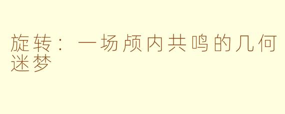 旋转:一场颅内共鸣的几何迷梦