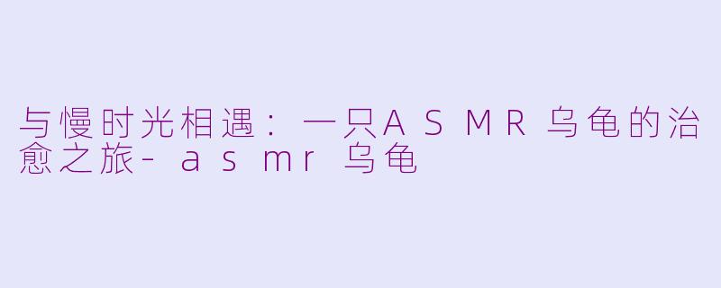 与慢时光相遇:一只ASMR乌龟的治愈之旅-asmr乌龟