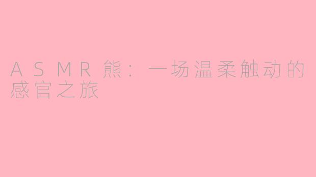 ASMR熊：一场温柔触动的感官之旅