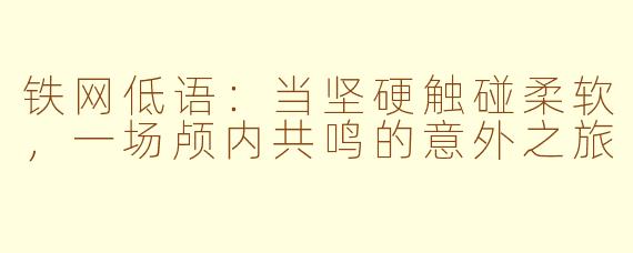 铁网低语：当坚硬触碰柔软，一场颅内共鸣的意外之旅